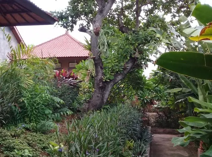 Eliska Sari Sumberkima 4*