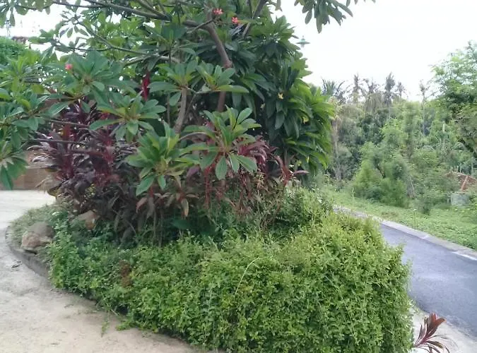 Eliska Sari Sumberkima 4*